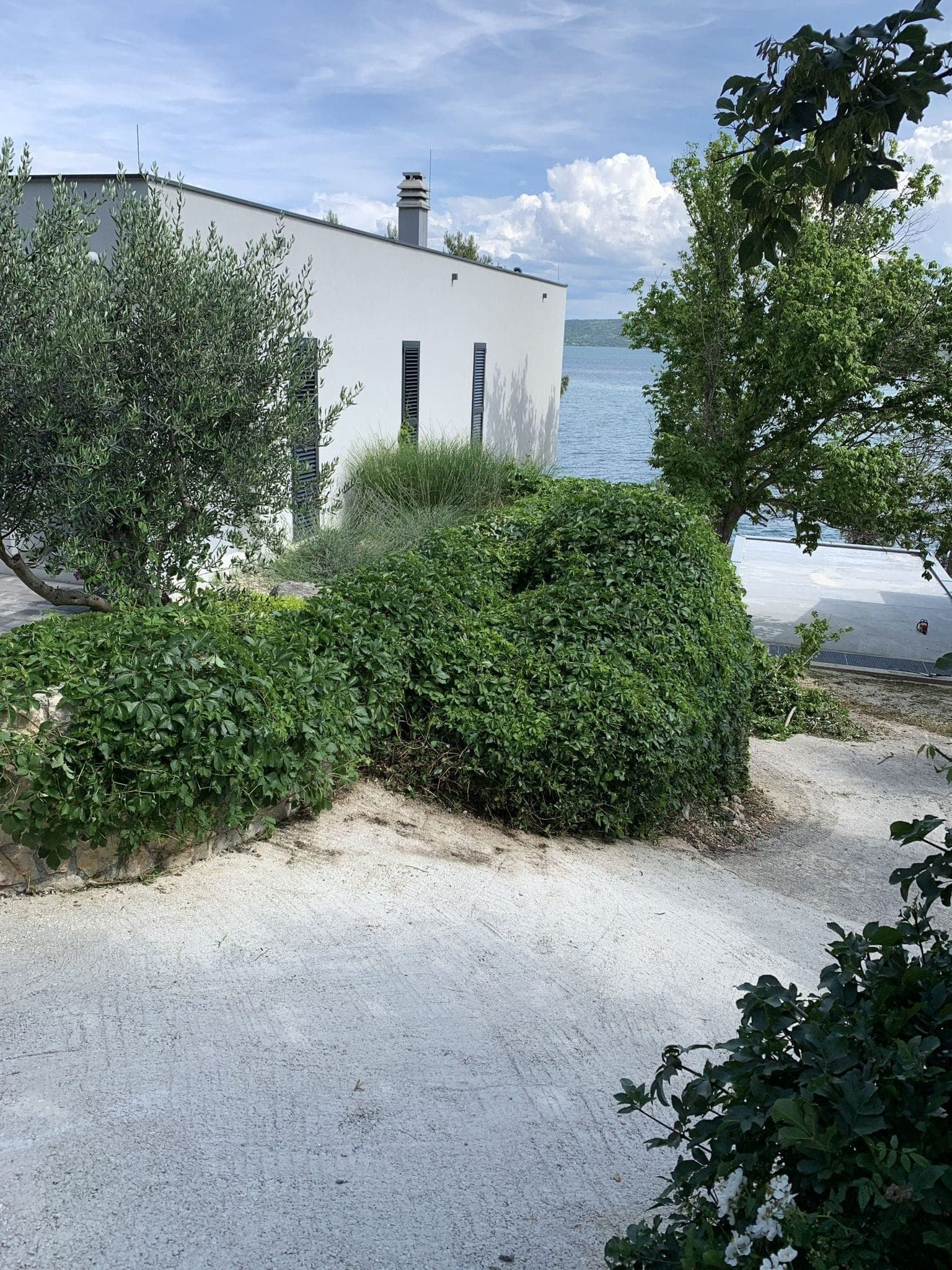 Bijela vila s maslinama i pogledom na more, zadarsko priobalje