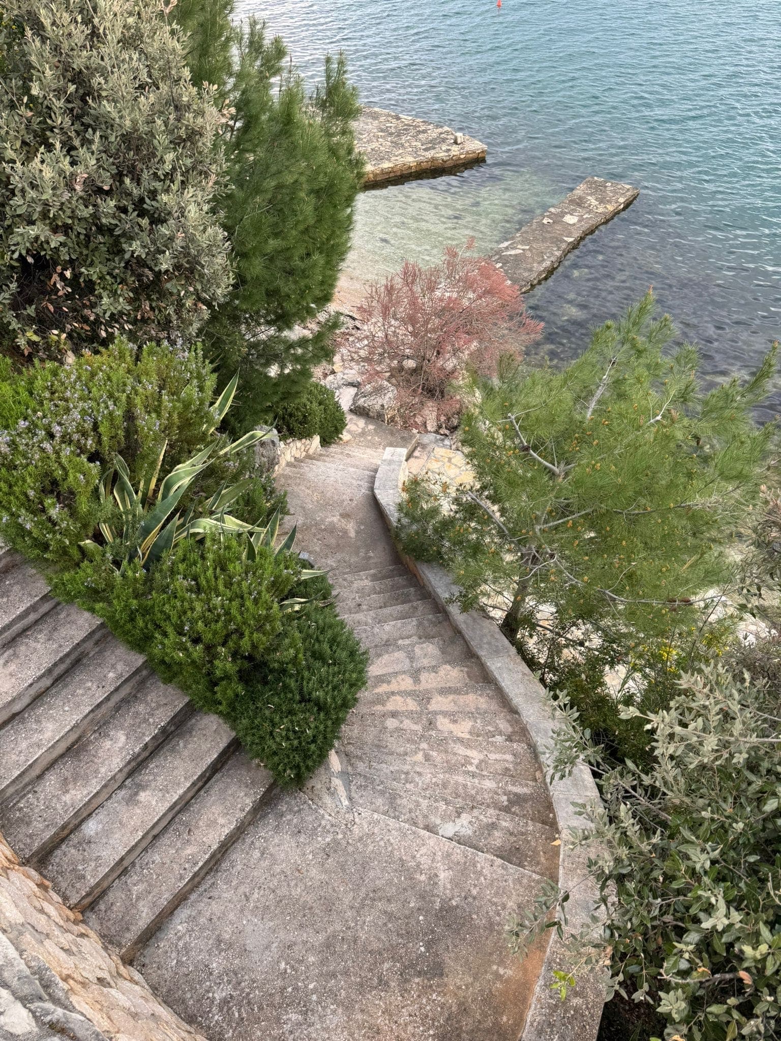 Bijela vila s maslinom i pogledom na more